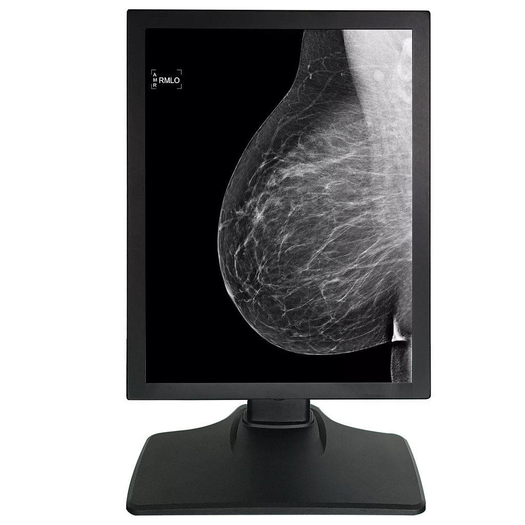 Monitor Medical 21.3inch 5MP Gri