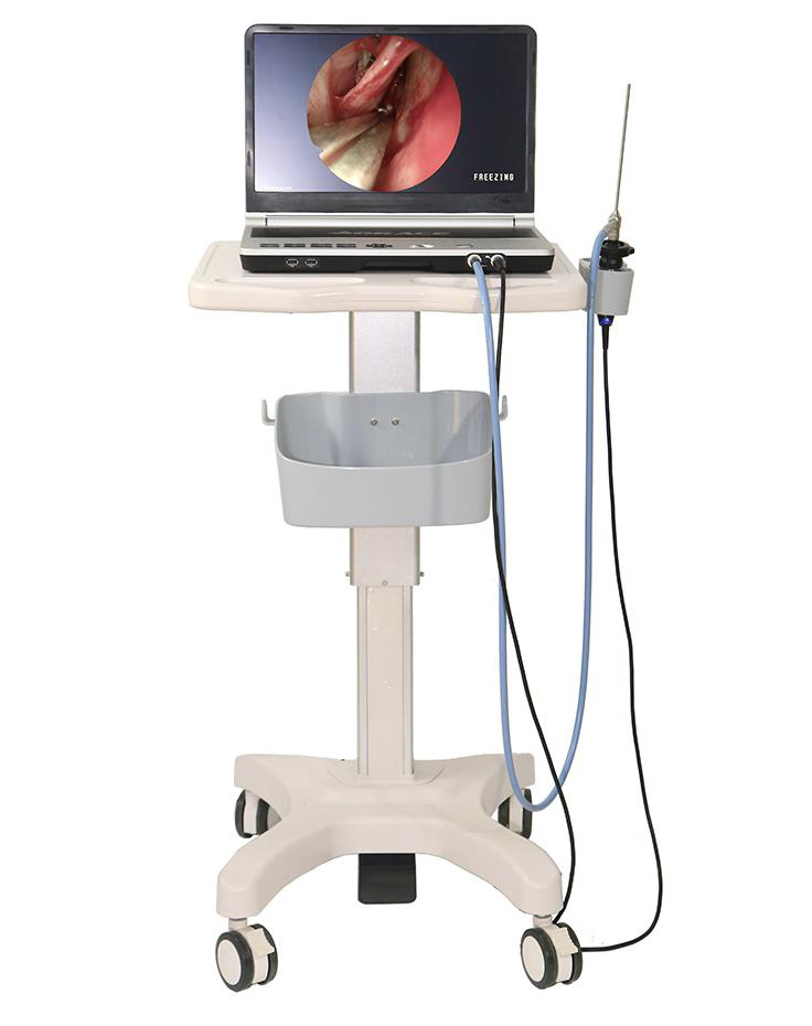 Sistem complet endoscopie